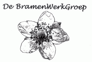 logo_bramenwerkgroep
